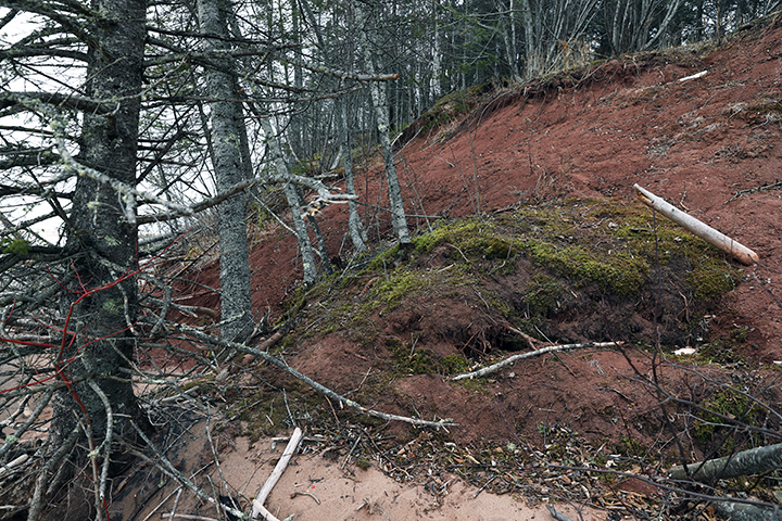 Beach at Jack Pine Drive.